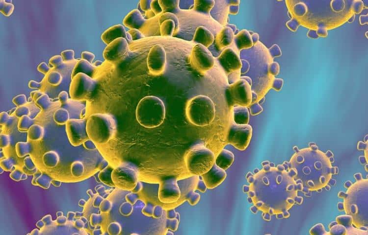 Coronavirus: wat is de impact op Belgische werkgevers en werknemers?