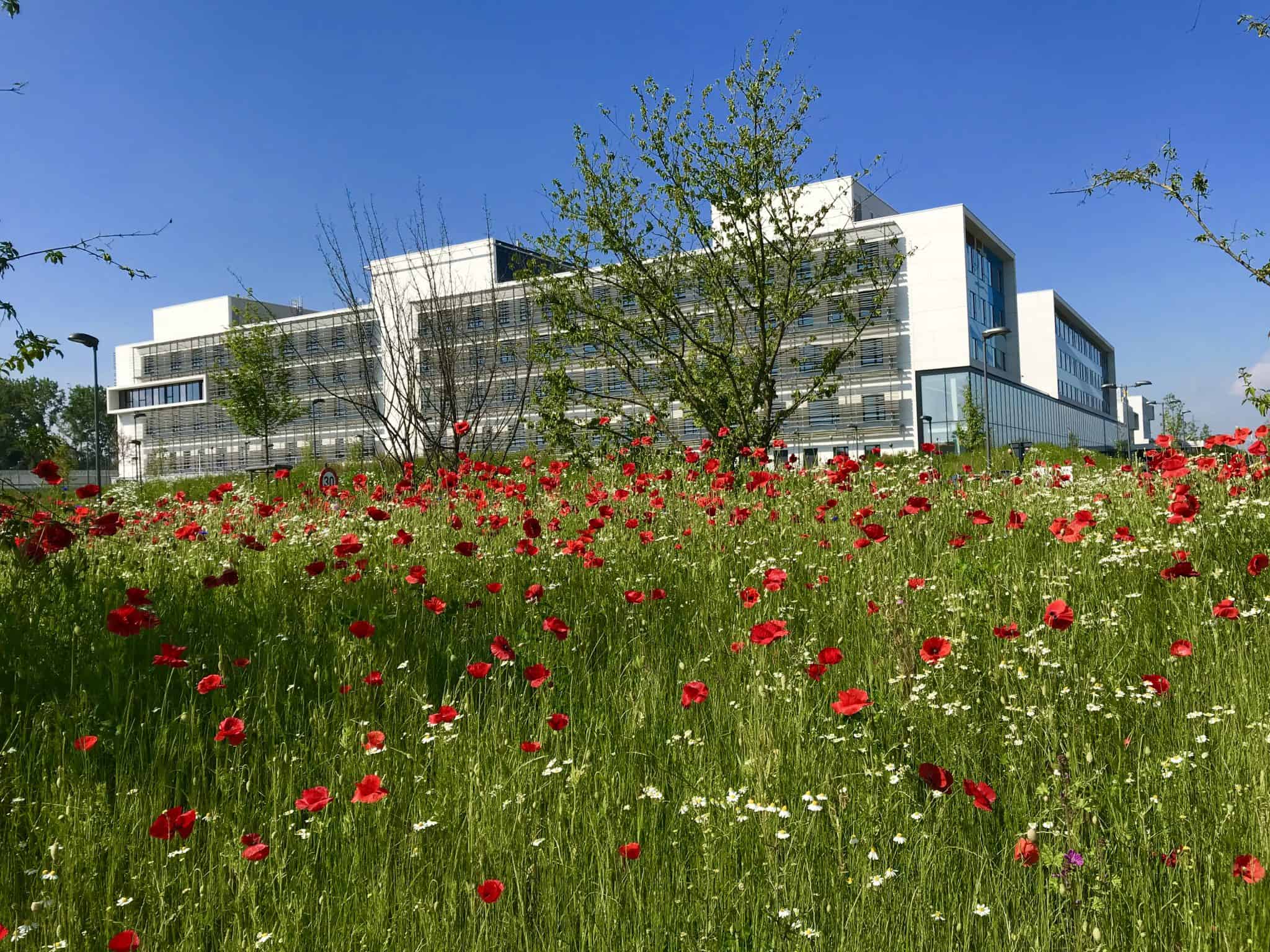 Gas geven, op de rem duwen en constant schakelen