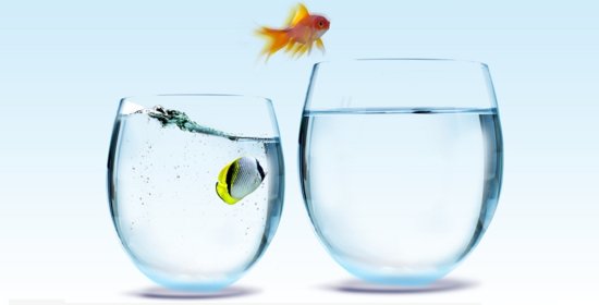 Dé job skill van de toekomst is aanpassingsvermogen