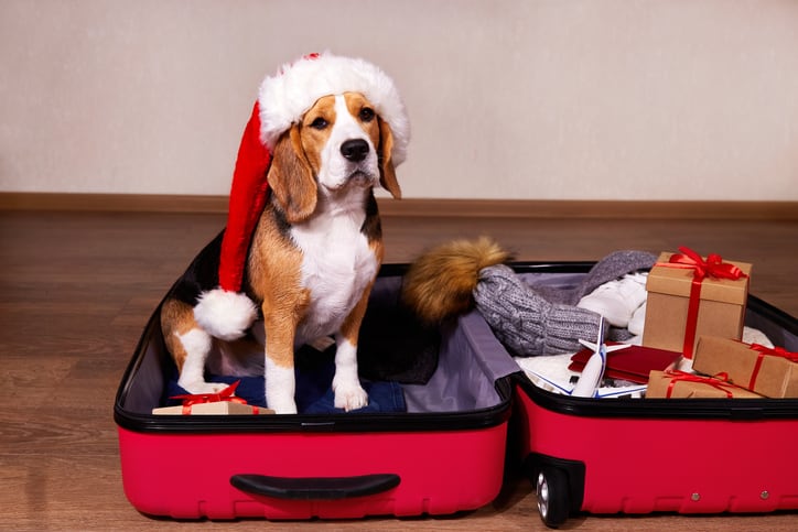 1 op 5 heeft nog 80 uur vakantie op te nemen