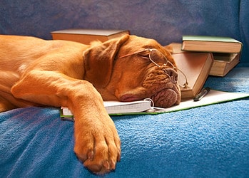 Vakantiedagen niet opgebruikt. Wat nu?