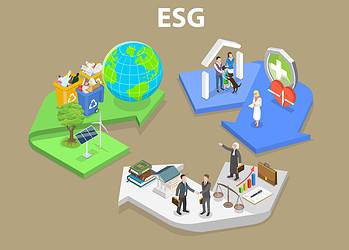 Werk zinvol maken voor een duurzame wereld