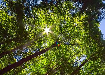 IDEWE kondigt deelname #GreenDealDuurzameZorg aan