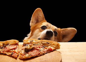 4 manieren en 2 pizza’s om innovatie in de bedrijfscultuur te bouwen