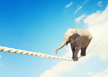 Balanceren tussen flexibiliteit en rendabiliteit op een krappe arbeidsmarkt