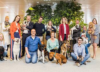 De hond maakt ons gelukkig. Ook op het werk!