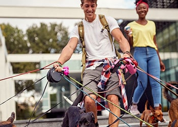 Wat zijn de fiscale gevolgen van een studentenjob?