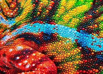 Hoe hoog is jouw adaptibility-quotiënt en waarom is dat belangrijk? 