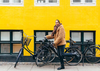 Maatregelen dienstenchequesector geen garanties op de lange termijn