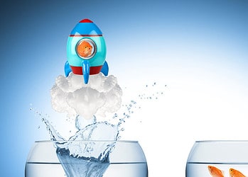 Next Generation Outplacement