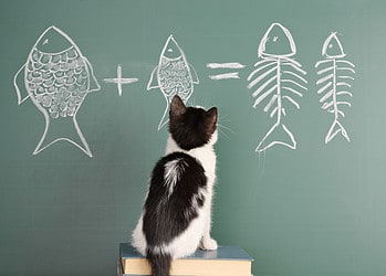 Opleiding: liever on-the-job en op eigen ritme