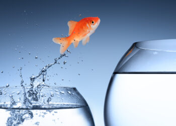 59% ambieert jobswitch in 2024 