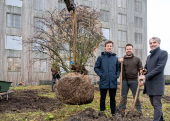 Werknemers Protime SD Worx plukken binnenkort ‘letterlijk en figuurlijk’ de vruchten van hun voedselbos