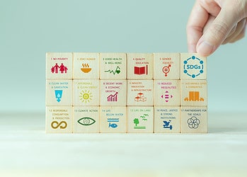 Naar een geïntegreerd   welzijnsbeleid met SDG’s