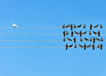 Het belang van eerlijke kansen op de arbeidsmarkt