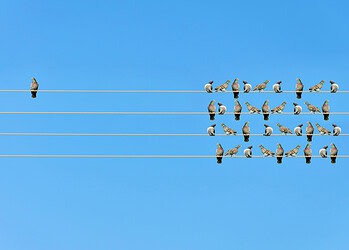 Gezocht: rebels leiderschap