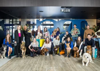 Minder stress met een hond op de werkvloer?