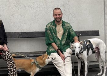 Kwispelende viervoeters zorgen voor verbinding op de werkvloer bij ZEB