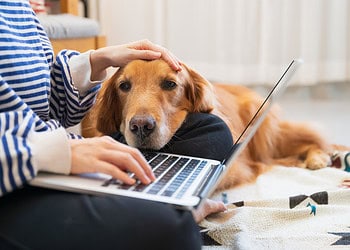 Remote werken: must have in plaats van nice to have