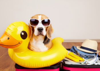 Zo krijg je je team weer op de rails na de vakantie