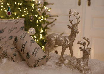 Vluchtelingenwerk lanceert Impactpapier