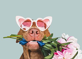 1 op 5 krijgt wekelijks compliment van een collega