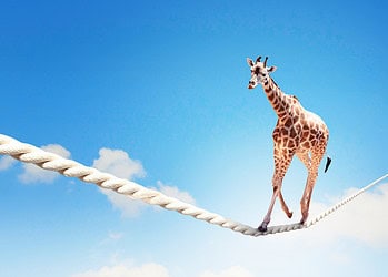 Wetenschappelijk onderbouwde test meet aanpassingsvermogen