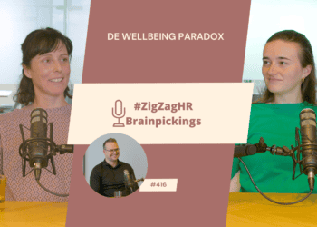 De wellbeing paradox – Best practice wellbeing bij VGD