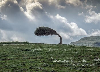 Van Human Resources naar Human Resilience