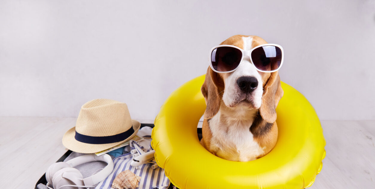 iStock 1404324002 e1772782501155