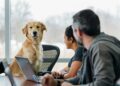 Mag de hond mee naar kantoor?