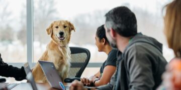 Mag de hond mee naar kantoor?