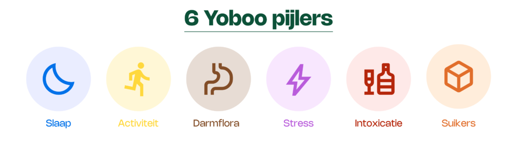 6 pijlers